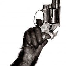 albert watson albert watson