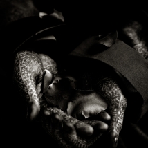 albert watson albert watson
