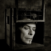 watson bowie watson bowie