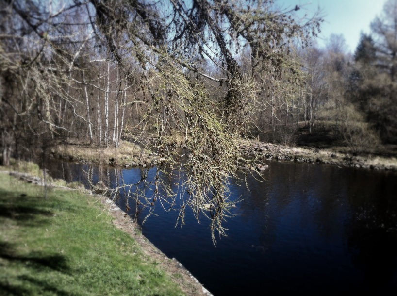 Boulognerskogen, Gävle Boulognerskogen, Gävle