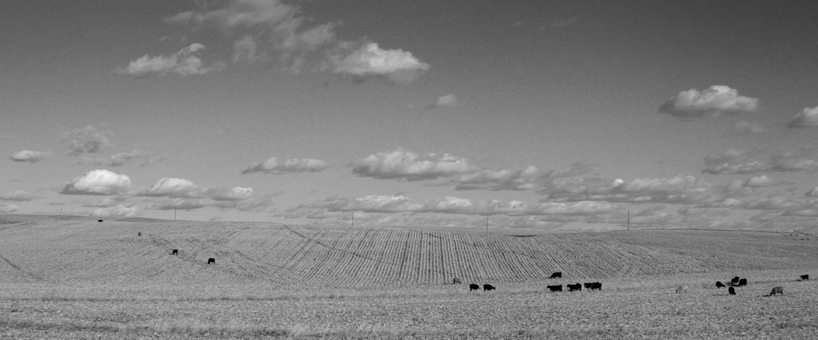 Ur filmen Nebraska Ur filmen Nebraska