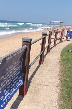 Varingsskylt vid badstranden i Durban, Umhlanga varnar bl. a. för att man inte bör simma under skymning och gryning då risken för hajangrepp är större. Bild: David C. Bernvi. Varingsskylt vid badstranden i Durban, Umhlanga varnar bl. a. för att man inte bör simma under skymning och gryning då risken för hajangrepp är större. Bild: David C. Bernvi.