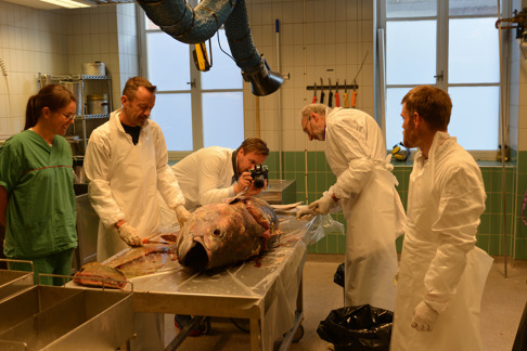 Från vänster, Annika Strömberg, Bo Delling, David Bernvi, Erik Åhlander och Peter Nilsson. Bild: Sven O. Kullander. Från vänster, Annika Strömberg, Bo Delling, David Bernvi, Erik Åhlander och Peter Nilsson. Bild: Sven O. Kullander.