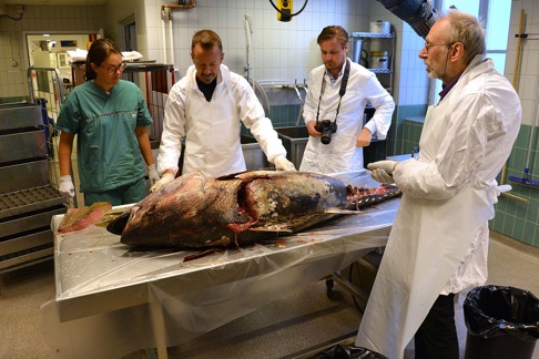 Från vänster, Annika Strömberg, Bo Delling, David Bernvi och Erik Åhlander. Bild: Sven O. Kullander. Från vänster, Annika Strömberg, Bo Delling, David Bernvi och Erik Åhlander. Bild: Sven O. Kullander.