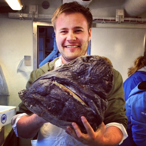 David C Bernvi med huvud från en över 2 meter lång håkäring. David C Bernvi med huvud från en över 2 meter lång håkäring.