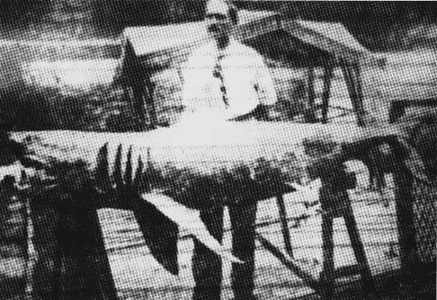 Den juvenila vithajen som fångades av Michael Schleisser i Raritan Bay 1916 och innehåll närmare 7 kg mänskliga kvarlevor. Om de tillhörde personer fån New Jersey som blivit angripna är oklart. Det är möjligt att denna vithaj enbart ätit lik som spolats ut från New York. Bronx Home News rapporterade händelsen. Den juvenila vithajen som fångades av Michael Schleisser i Raritan Bay 1916 och innehåll närmare 7 kg mänskliga kvarlevor. Om de tillhörde personer fån New Jersey som blivit angripna är oklart. Det är möjligt att denna vithaj enbart ätit lik som spolats ut från New York. Bronx Home News rapporterade händelsen.