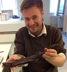 Text och bild/illustration av David C. Bernvi. Text och bild/illustration av David C. Bernvi.