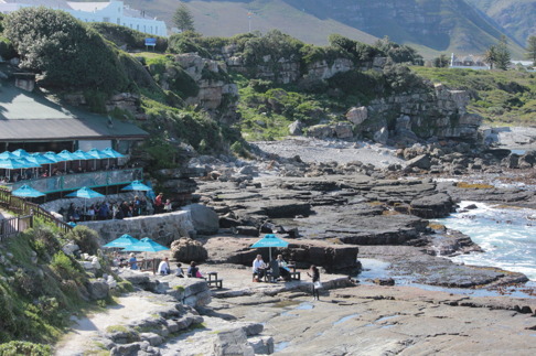 Efter vithajarna tog vi oss en tur till Hermanus som ligger en halvtimme bort från Gansbaai. Där kan man titta på valarna från ett kaffe på klipporna. Bild: David C. Bernvi. Efter vithajarna tog vi oss en tur till Hermanus som ligger en halvtimme bort från Gansbaai. Där kan man titta på valarna från ett kaffe på klipporna. Bild: David C. Bernvi.