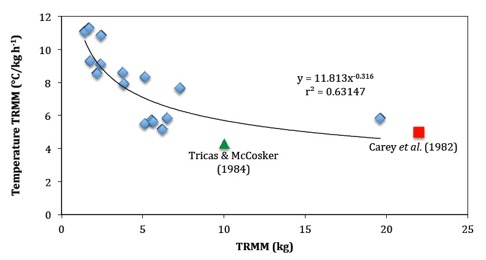 Här ser vi en annan graf från min masteruppsats som visar de röda musklernas massa (TRMM) mot temperaturen per kilogram röda muskler per timme efter värmeförslut på 38,5 %. Större vithajar med mer röda muskler behöver inte generera lika mycket värme som små vithajar eftersom större vithajar har mer röda muskler totalt sett. Här ser vi en annan graf från min masteruppsats som visar de röda musklernas massa (TRMM) mot temperaturen per kilogram röda muskler per timme efter värmeförslut på 38,5 %. Större vithajar med mer röda muskler behöver inte generera lika mycket värme som små vithajar eftersom större vithajar har mer röda muskler totalt sett.