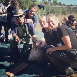 Hajforskarna som dissekterade vithajarna som strandade i Gansbaai, från vänster till höger: Megan McCord, Maclom Smale, Alison Towner och Alison Kock. Bild Alison Towner. Hajforskarna som dissekterade vithajarna som strandade i Gansbaai, från vänster till höger: Megan McCord, Maclom Smale, Alison Towner och Alison Kock. Bild Alison Towner.