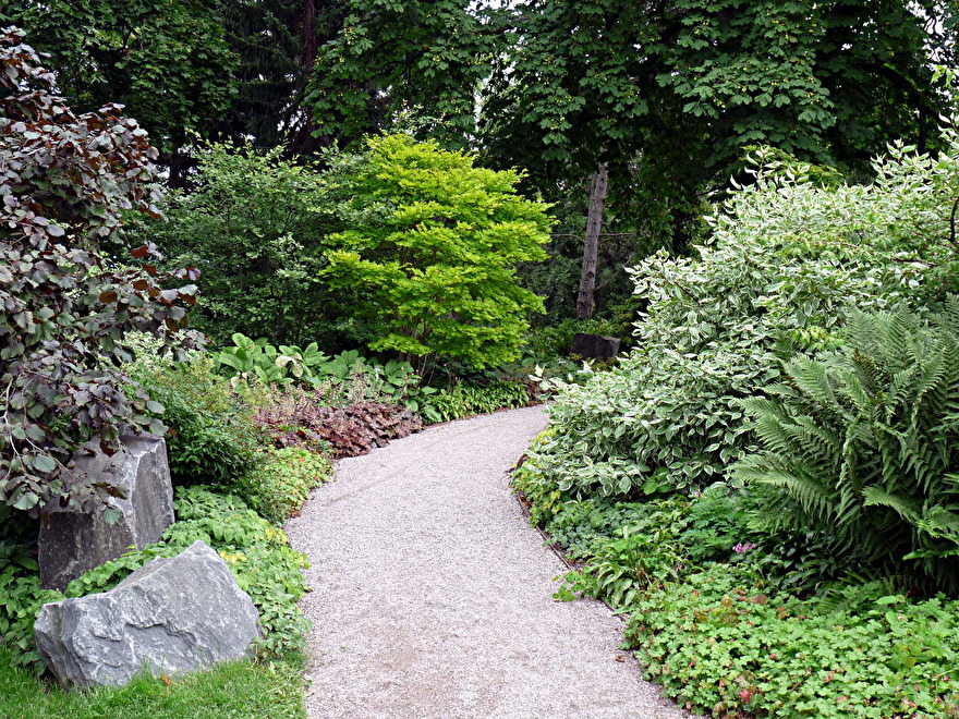 Friväxande buskar får behålla sin naturliga form. Här är det inte blommor som är i fokus utan kombinationen av olika bladfärger och former. Enkelt och vilsamt för ögat. Friväxande buskar får behålla sin naturliga form. Här är det inte blommor som är i fokus utan kombinationen av olika bladfärger och former. Enkelt och vilsamt för ögat.