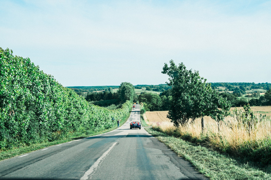 Find your own path. Find your own path.