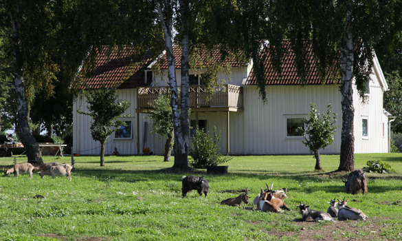 Gården med anor från sent 1800-tal Gården med anor från sent 1800-tal