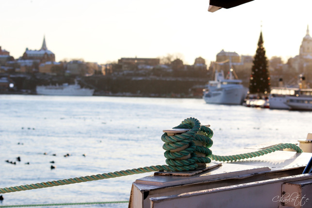 Kontrasten är stor mellan skärgårdsbåtarna i förgrunden och julgranen i bakgrunden Kontrasten är stor mellan skärgårdsbåtarna i förgrunden och julgranen i bakgrunden