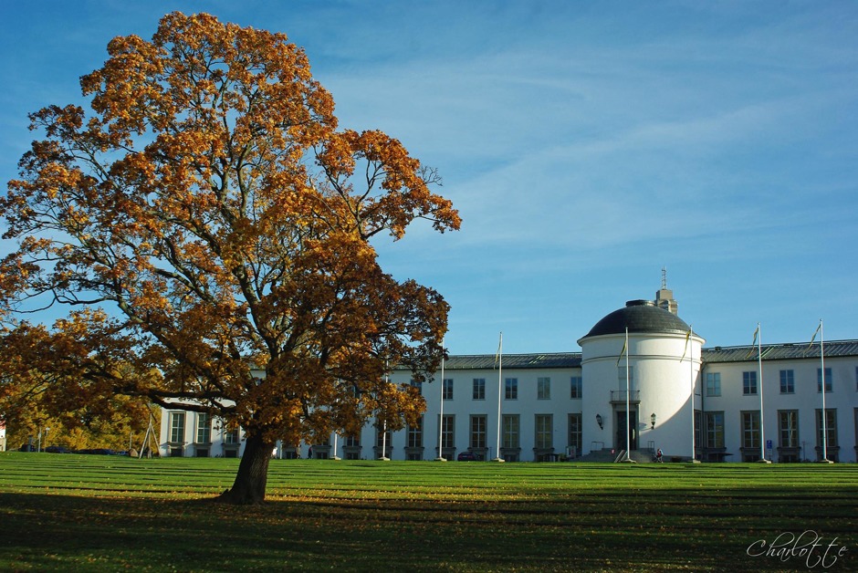 Gärdet, Sjöhistoriska museet Gärdet, Sjöhistoriska museet