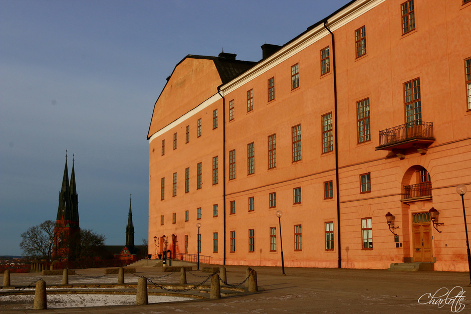 Uppsala slott, Uppsala Domkyrka Uppsala slott, Uppsala Domkyrka