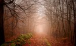 Autumnalley Autumnalley