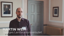 Martin Weih, SLU