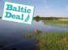 Baltic Deal