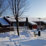 DSC00399