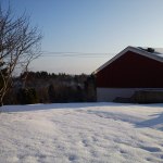 DSC00400