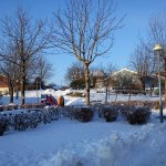 DSC00401