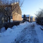 DSC00412