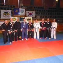 master Nordic hapkido Cup master Nordic hapkido Cup