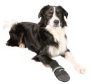 Hundskor Walker professional 2-pack