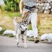 Hiking Belt Gear