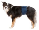 Hanhundsskydd