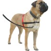 Hundsele  Halti Anti-drag