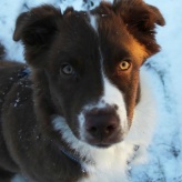 N Mr Turner "Sammy"