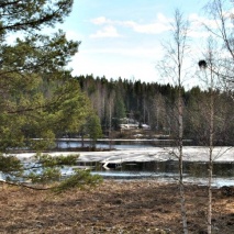 vår