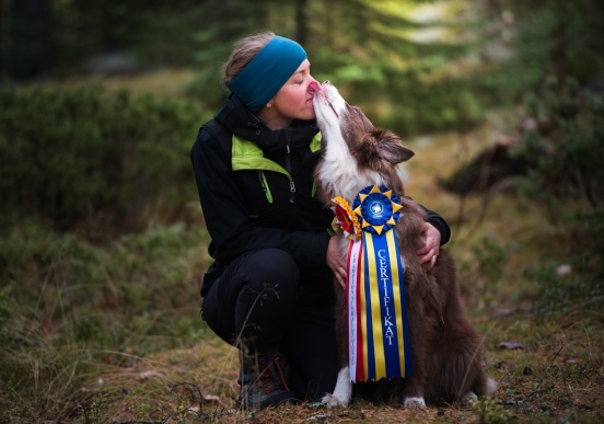 Nikkitopetes andra Champion RLDN RLDF RLDA RallyCh Nikkitorpets Miss Brown "Rue" Nikkitopetes andra Champion RLDN RLDF RLDA RallyCh Nikkitorpets Miss Brown "Rue"