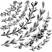 IOD Dekorstämpel Wreath Builder