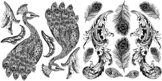 IOD Dekorstämpel Pavo, också två ark med detaljerade påfåglar och fjädrar. Dubletter så att du kan  "spegelvända" dem mot varandra. Underbart läcker!