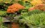 japanese garden wallpapers_14
