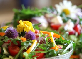 Hälsosam vegetarisk mat Hälsosam vegetarisk mat