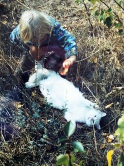 Kerstin pysslar om den blinda katten på Öland.
