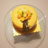 Miroir Mango Cake 芒果芝士淋面蛋糕