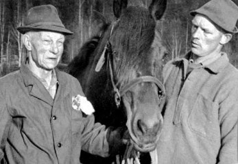 Kaare Brekke (t h) och hans far Ole tillsammans med hästen Roald. Foto: Privat