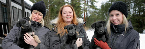 I trygga famnar. Valparna har nu fått namn av omplaceringsgruppen. Från vänster Sanna Svensson med Mizo, Camilla Henningsson med Lilly och Jenny Jonesjö med Saga. Foto: Oddbjörn Andersson I trygga famnar. Valparna har nu fått namn av omplaceringsgruppen. Från vänster Sanna Svensson med Mizo, Camilla Henningsson med Lilly och Jenny Jonesjö med Saga. Foto: Oddbjörn Andersson