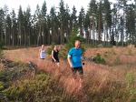 Harsa skidområde Harsa skidområde