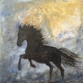 svart häst