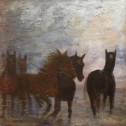 Häster i gallop