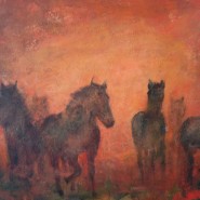 Hästar i solnedgång.
