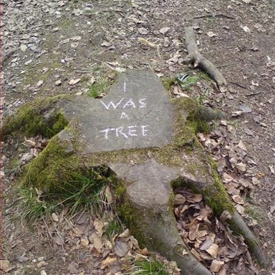I was a tree من یک درخت بودم