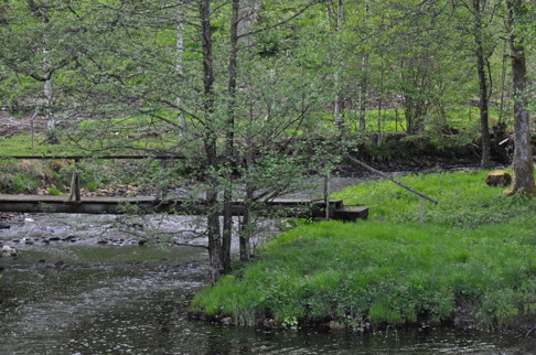 Skallinge Gård CAHOM naturhälsoplats
