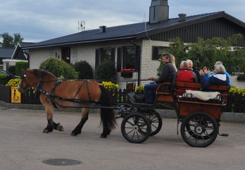 Fira bröllopsdag med häst och vagn i Halmstad 